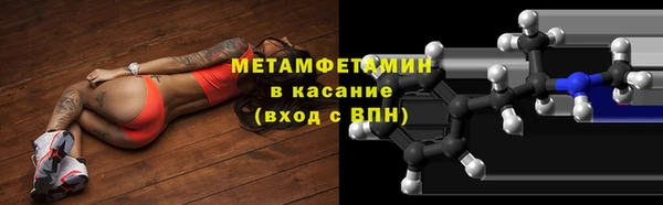 прущие грибы Абинск