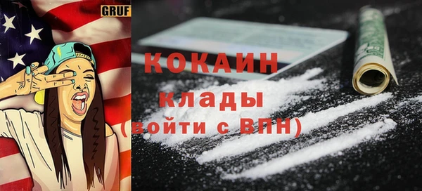 твердый Арсеньев