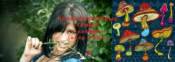 твердый Арсеньев